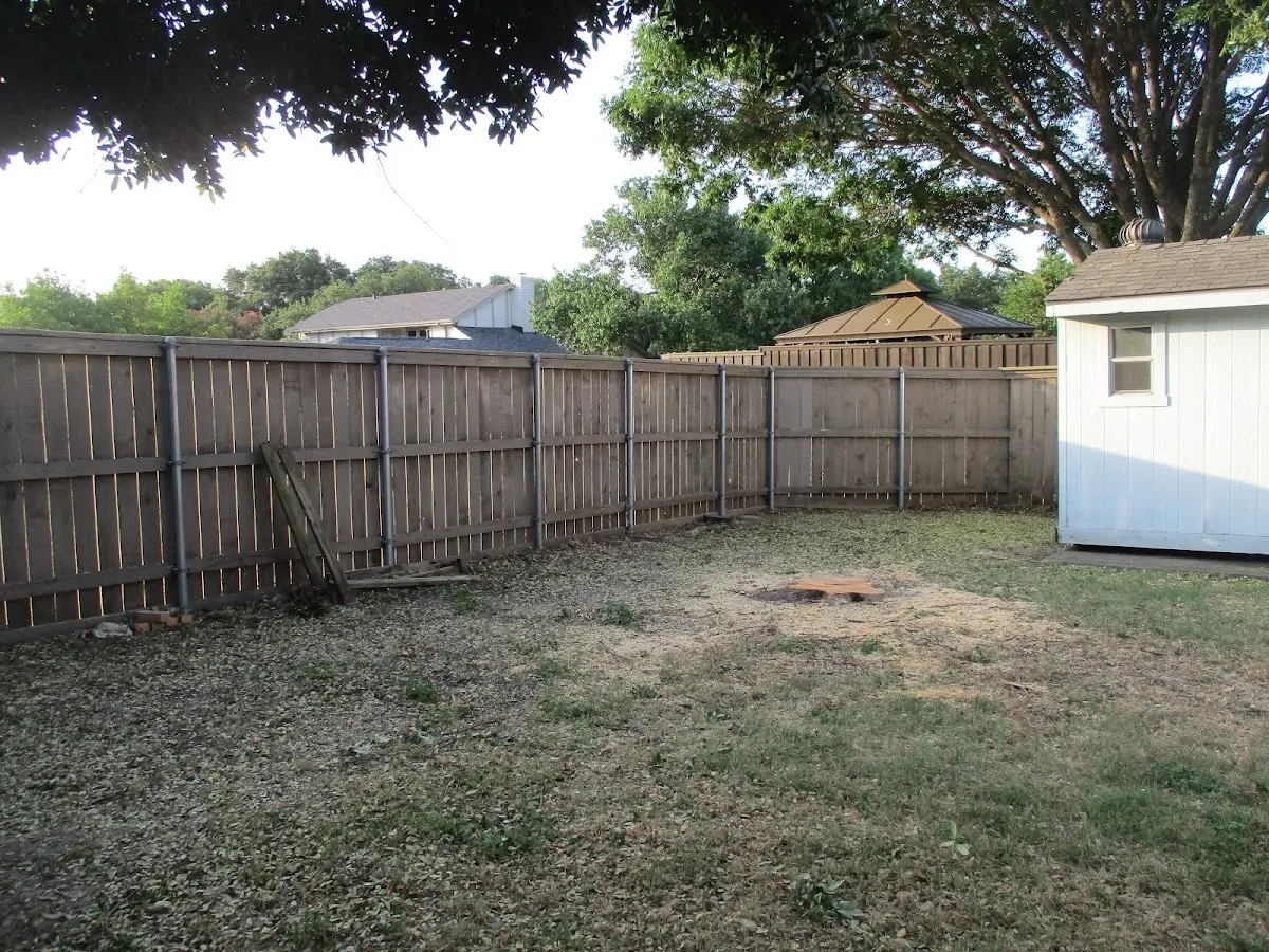 Cleared yard after professional tree removal in Salol
